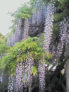 image/nono-note-2006-04-30T16:10:46-1.jpg