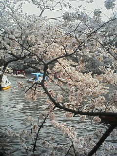 20060401.jpg