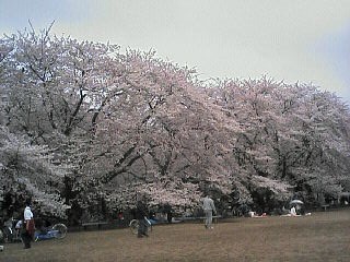 20060402.jpg