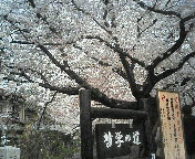 20060408_1.jpg