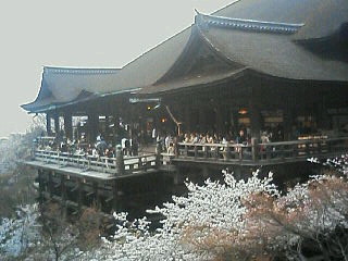 20060409_2.jpg