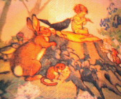 20070414.jpg