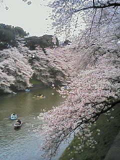 20080328.jpg