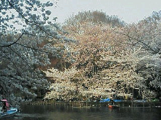 image/nono-note-2006-04-01T16:50:18-1.jpg