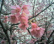 image/nono-note-2006-04-02T17:16:19-1.jpg