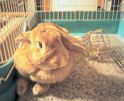 200607260216000.jpg