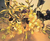 200610100208000.jpg