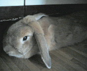 200610191321000.jpg