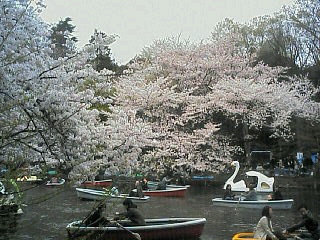 200703311636000.jpg