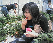 200704011116000.jpg