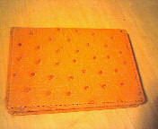 200704042353000.jpg
