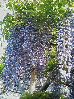 200704301402000.jpg
