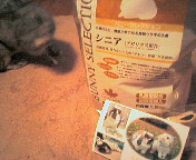 200708261917000.jpg