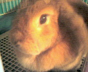 200802160322000.jpg