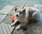 200803170929001.jpg