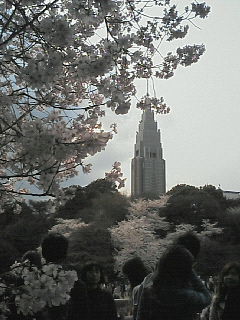 200803291502000.jpg