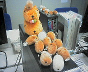 200806202110000.jpg