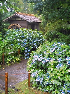 200806221352000.jpg