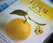 200806272050000.jpg