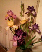 2010051022110000.jpg