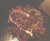 2010112220510000.jpg