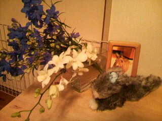 2010112623180000.jpg