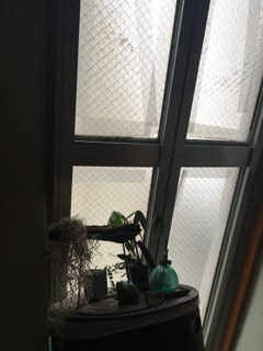 2019-10-12 09-42-32.jpg