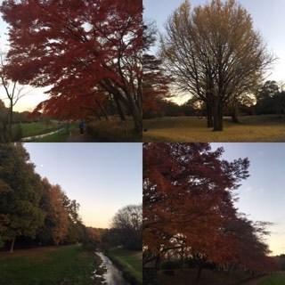 2019-12-08 22-12-20.jpg